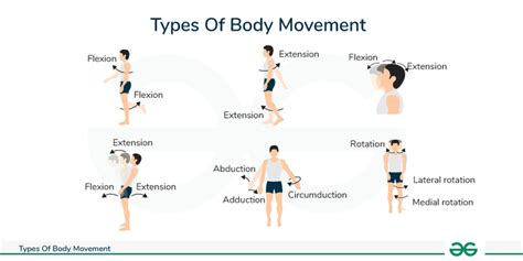 what is abduction movement|Types of movements in the human body .